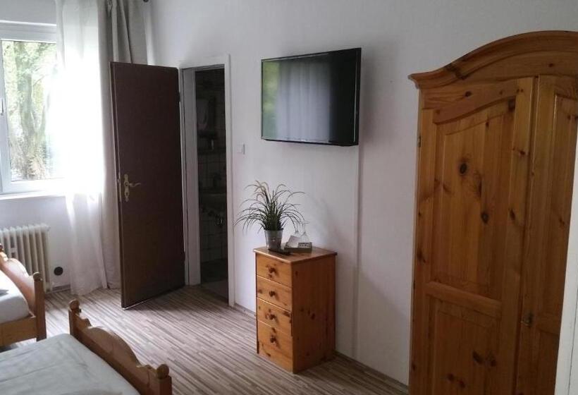 스탠다드 룸, Am Stadion