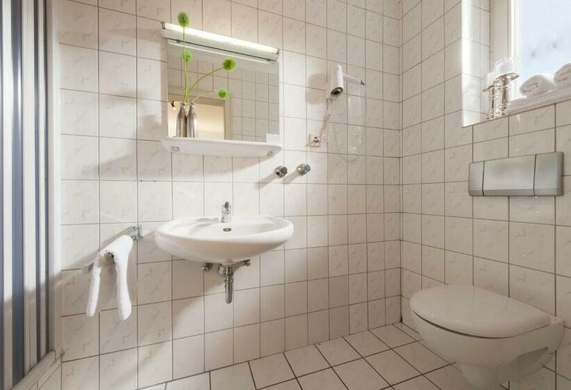 스탠다드 싱글 룸, Burgerhof