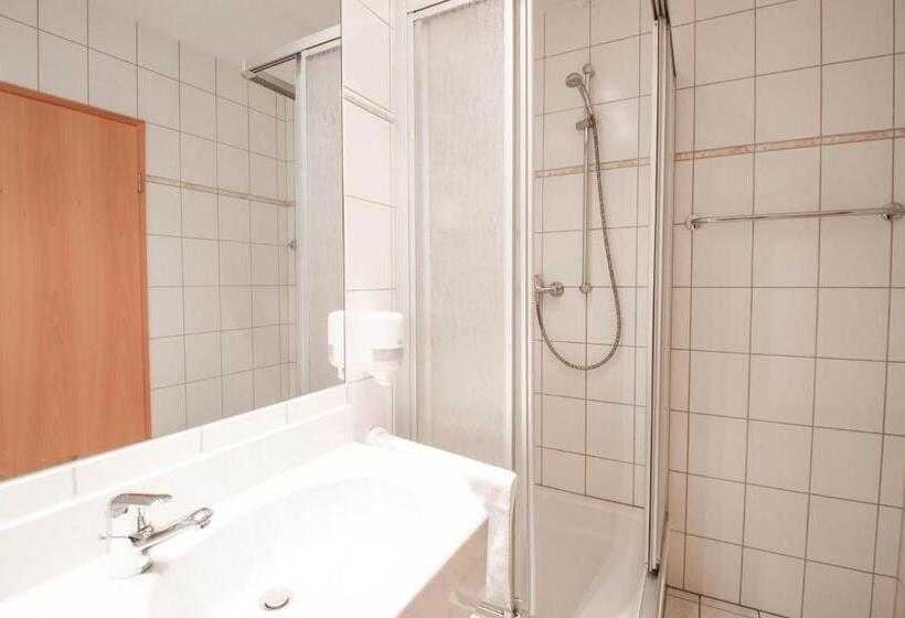 Номер Стандарт Индивидуальный, Ferien Hotel Villa Südharz