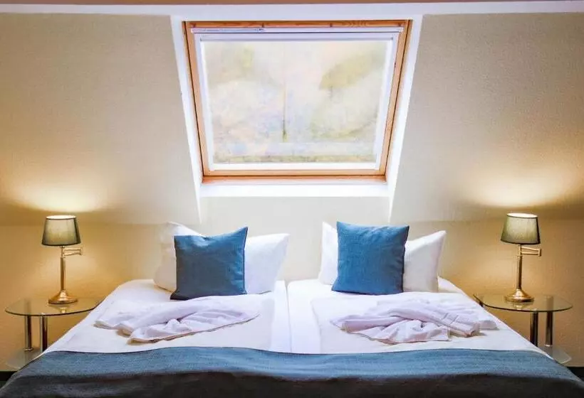 １ベッドルームアパートメント, Ferien Hotel Villa Südharz