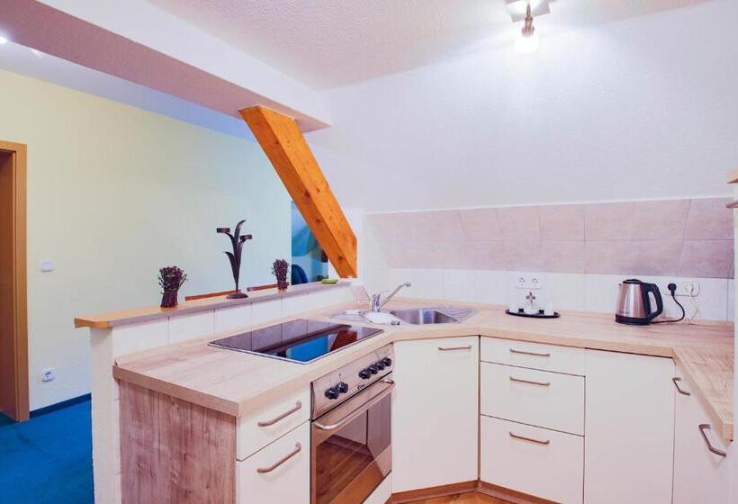 침실 1개 아파트, Ferien Hotel Villa Südharz