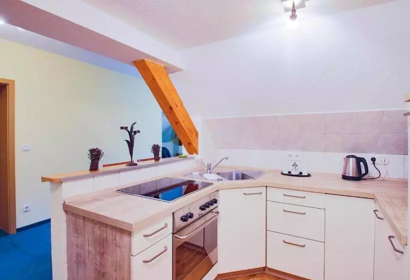 １ベッドルームアパートメント, Ferien Hotel Villa Südharz