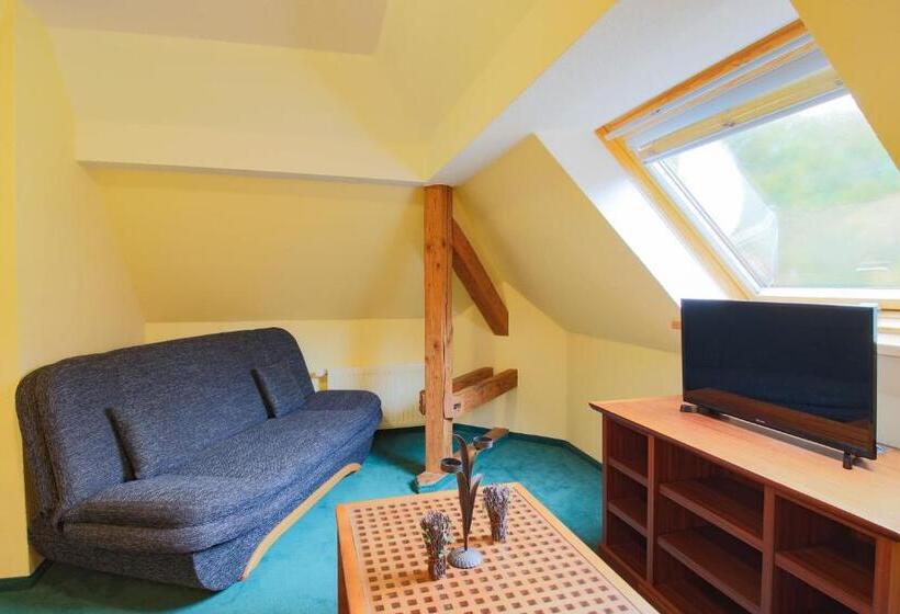 침실 1개 아파트, Ferien Hotel Villa Südharz