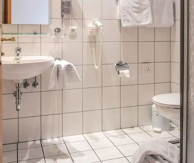 スタンダードシングルルーム, Ferien Hotel Villa Südharz
