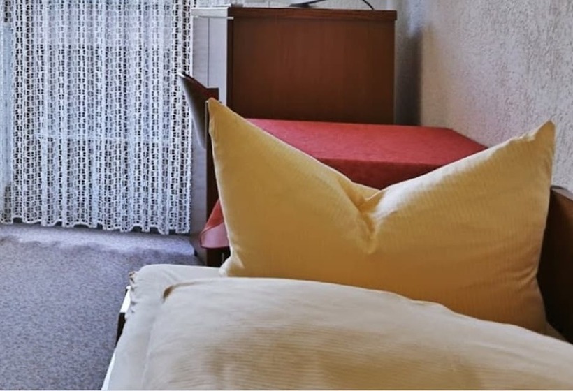 标准单人间, Grüner Hof