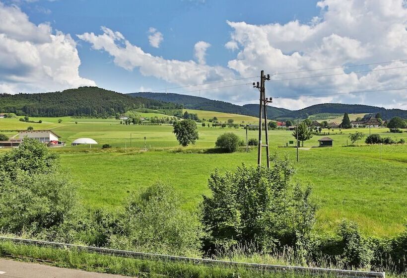 标准单人间, Grüner Hof