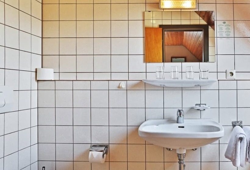 标准间, Grüner Hof