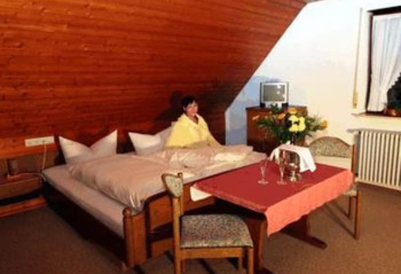 四人标准间, Grüner Hof