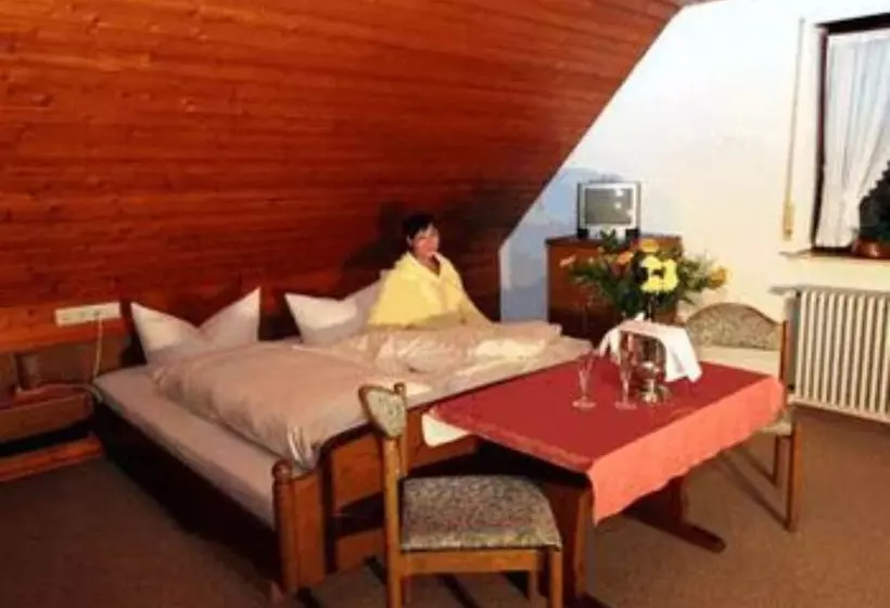 スタンダード4人部屋, Grüner Hof