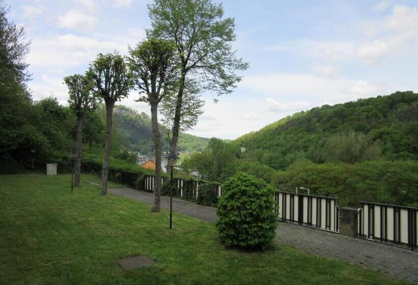 Номер Стандарт, Lindenhof