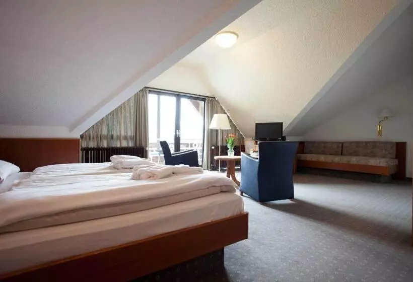 エコノミールーム, Pp Hotel Grefrather Hof