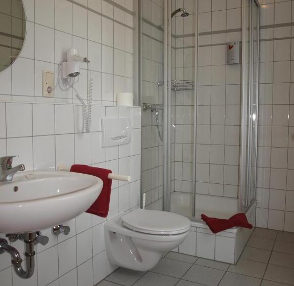 침실 1개 아파트, Societät