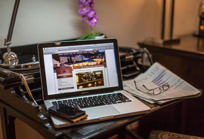 Номер Стандарт Индивидуальный, Schloß Hotel Petry