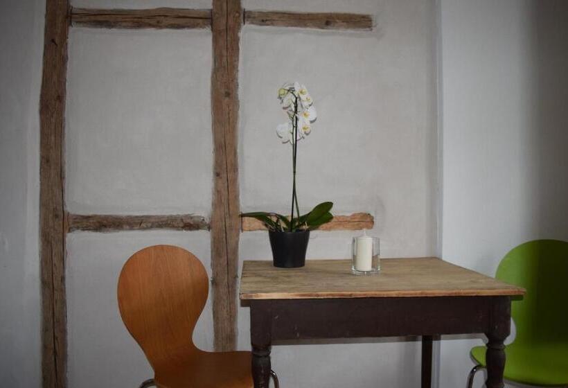 דירת חדר, Stella Apartments