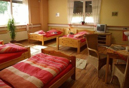 חדר סטנדרט לארבעה, Econo Motel Goelzer