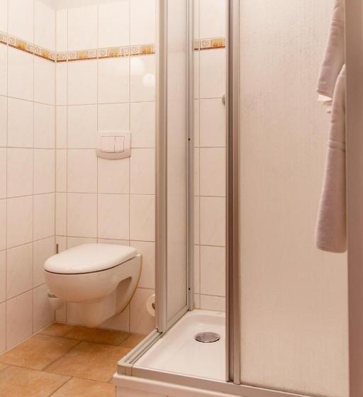חדר סטנדרט יחיד, Flair Hotel Deutsches Haus