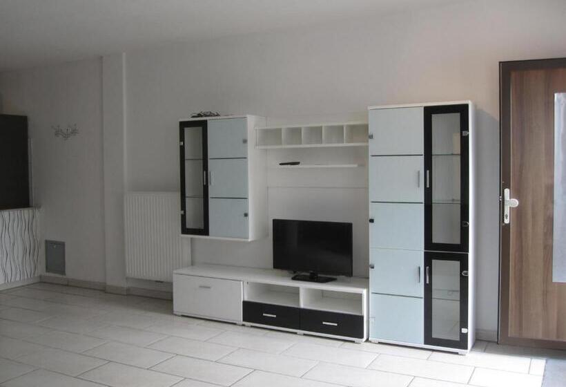 شقة غرفة واحدة, 12 Apostel