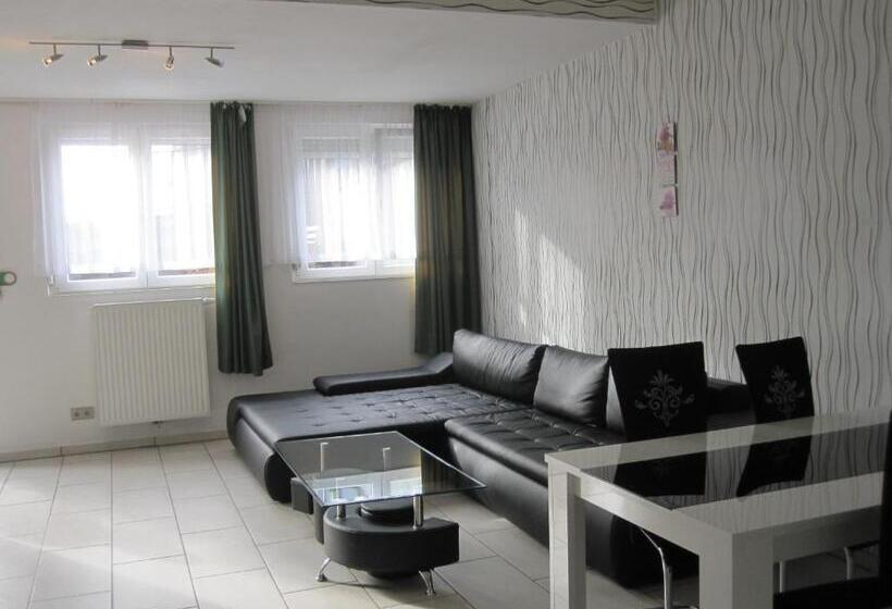 شقة غرفة واحدة, 12 Apostel