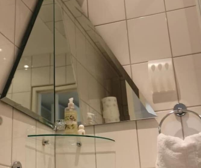 Standart Tek Kişilik Oda, Alpha