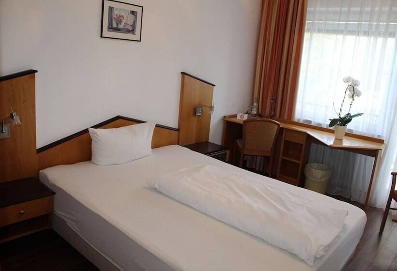 스탠다드 싱글 룸, Gästehaus Am Kurpark