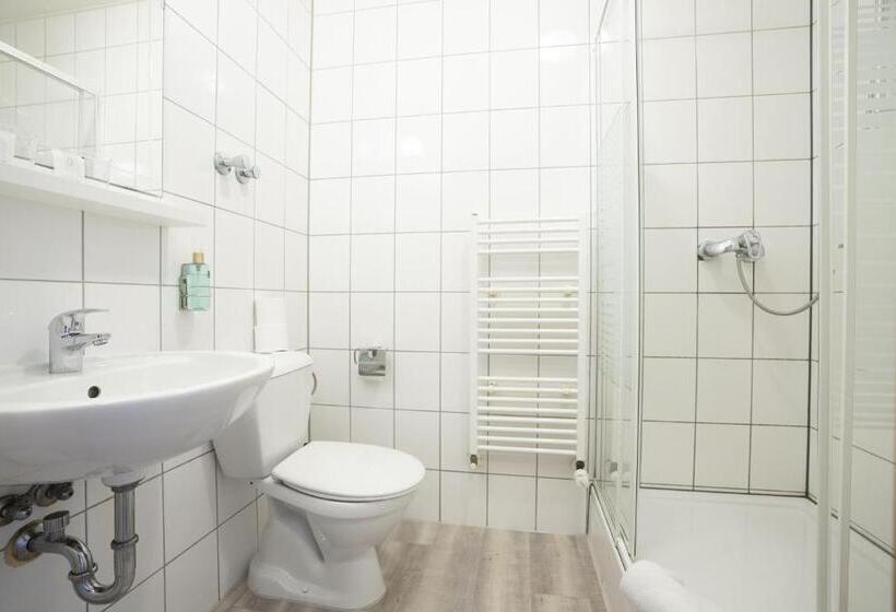 חדר סטנדרט יחיד, Bergheim