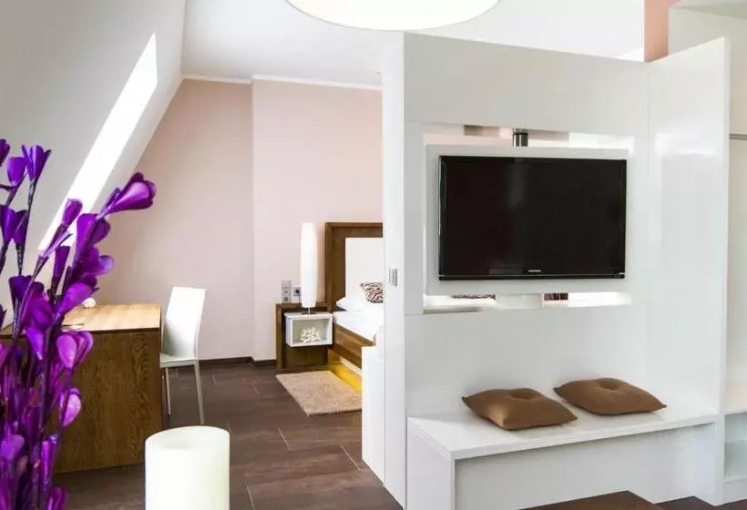 ペントハウスルーム, Boardinghouse Mannheim