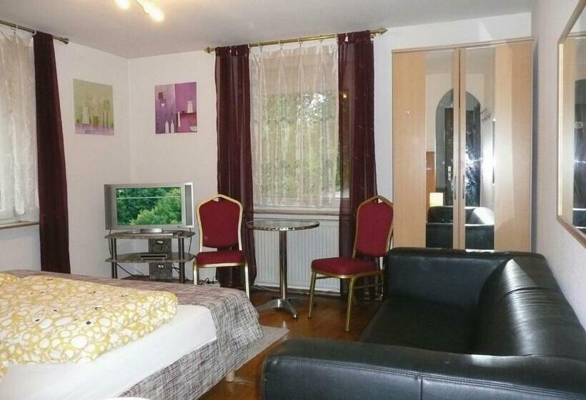 Номер Стандарт, City