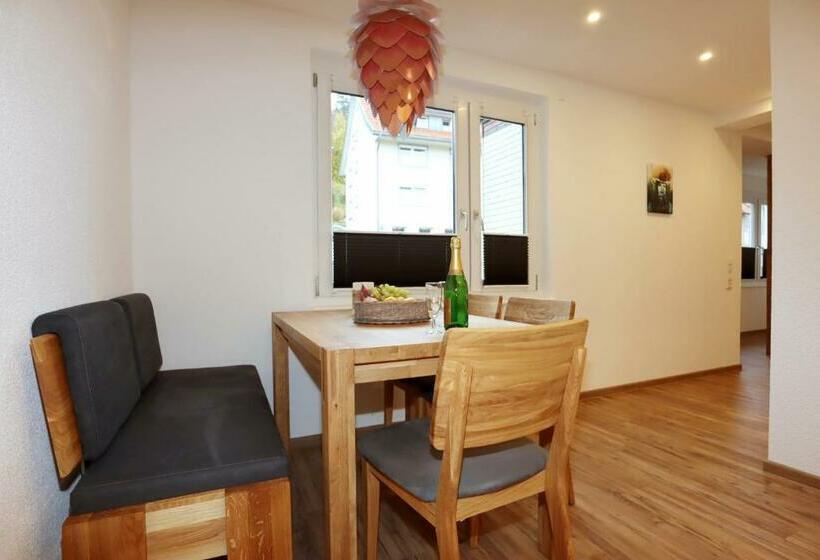 １ベッドルームアパートメント, Ferienwohnungen Rebstock