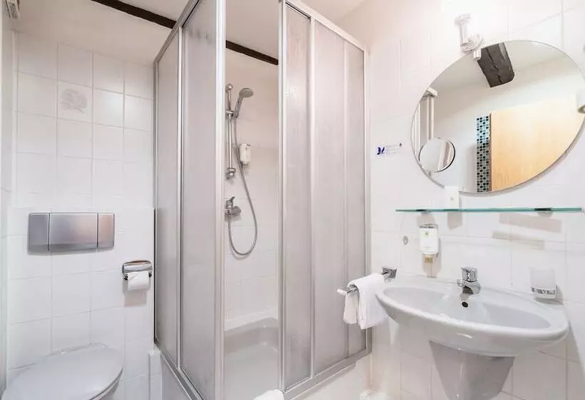 Standard Yhden Hengen Huone, Flair Hotel Deutsches Haus