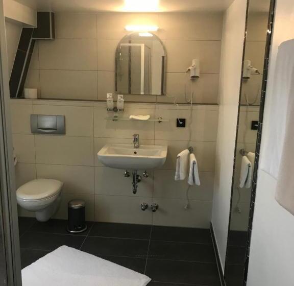 스탠다드 싱글 룸, Friedrich