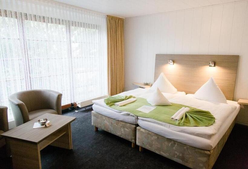 Номер Стандарт, Friesen