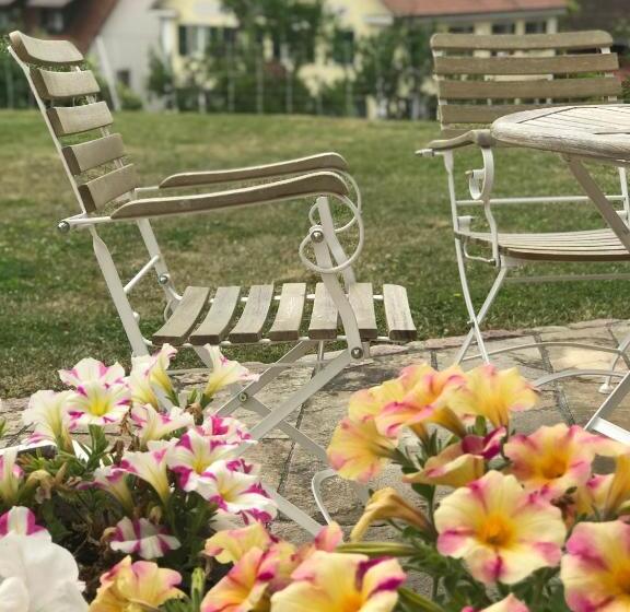 Apartamento 1 Quarto com Terraço, Gasthaus Schwanen