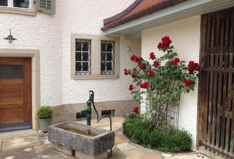 Apartamento 1 Quarto com Terraço, Gasthaus Schwanen