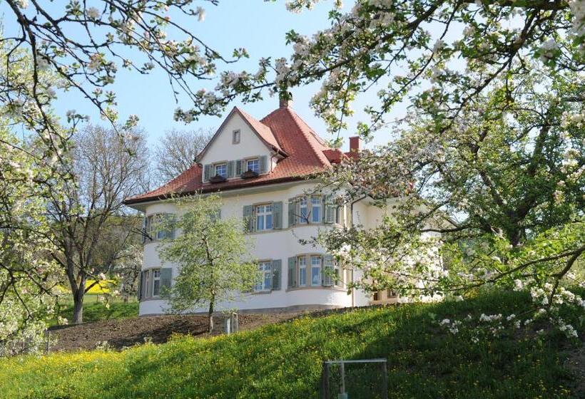 Apartamento 1 Quarto com Terraço, Gasthaus Schwanen