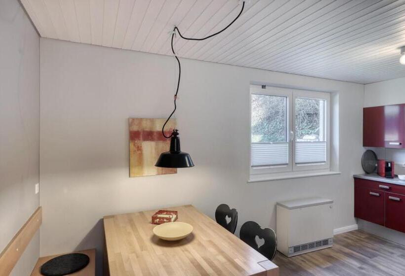 Apartamento 2 Quartos com Terraço, Gasthaus Schwanen