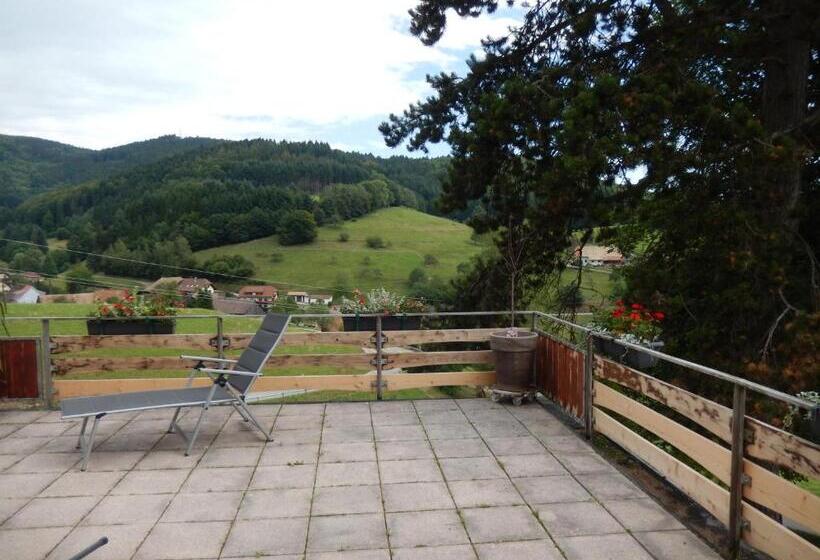 Номер Стандарт с Балконом, Landgasthof Zum Pflug