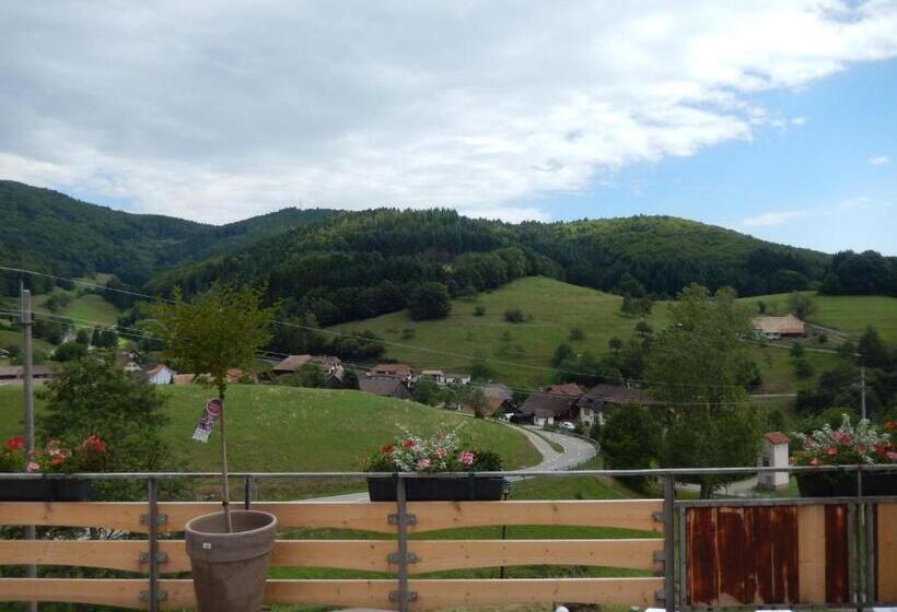 스탠다드 발코니 룸, Landgasthof Zum Pflug