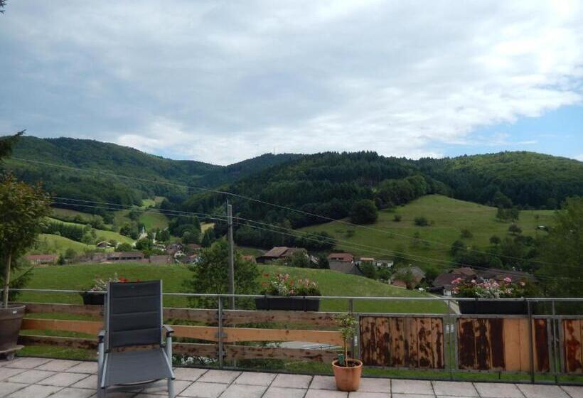 Номер Стандарт с Балконом, Landgasthof Zum Pflug