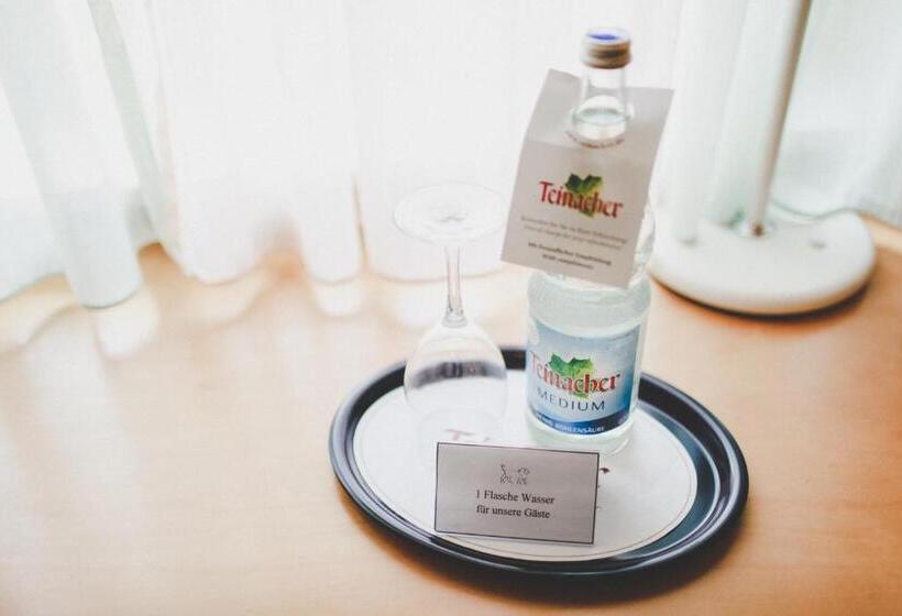 اتاق استاندارد یک نفره, Ar Boutique Hotel Mannheim City
