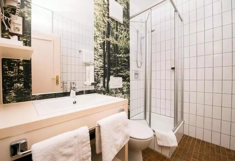 Standard Single Room, & Restaurant Ochsen Merklingen