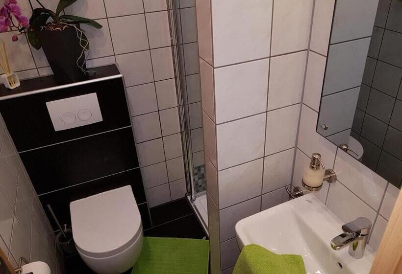 Habitación Estàndard Individual, Exquisite