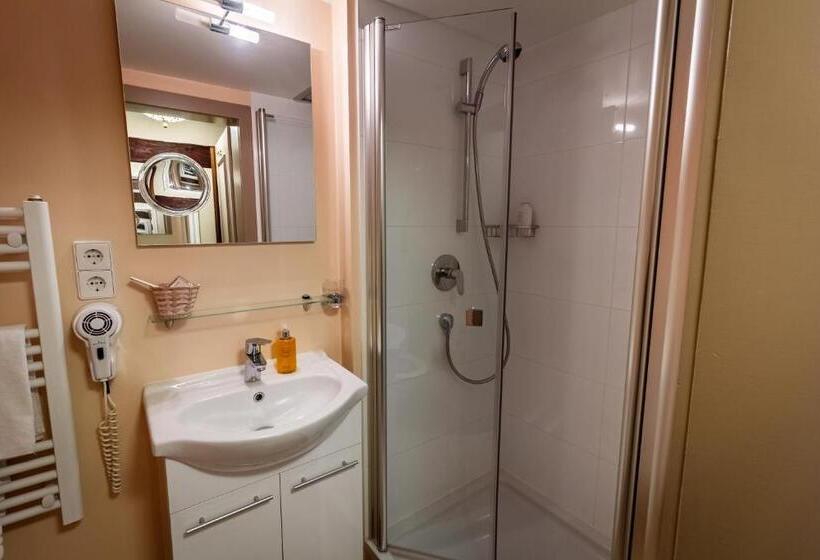 غرفة قياسية فردية, Restaurant Burg Hornberg