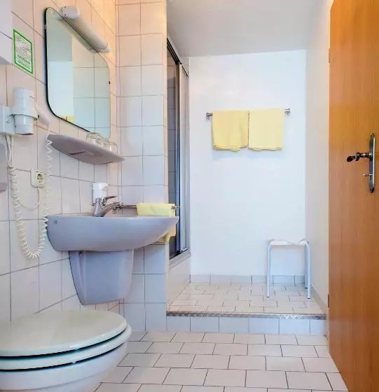 Basic Triple Occupancy Room, & Restaurant Ernst