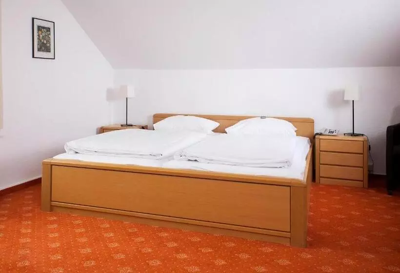 Basic Triple Occupancy Room, & Restaurant Ernst