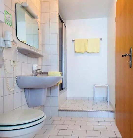 Basic Triple Occupancy Room, & Restaurant Ernst
