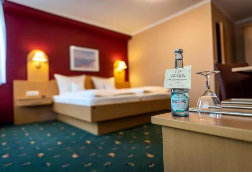 Standard Yhden Hengen Huone, Komfort Hotel Katerberg