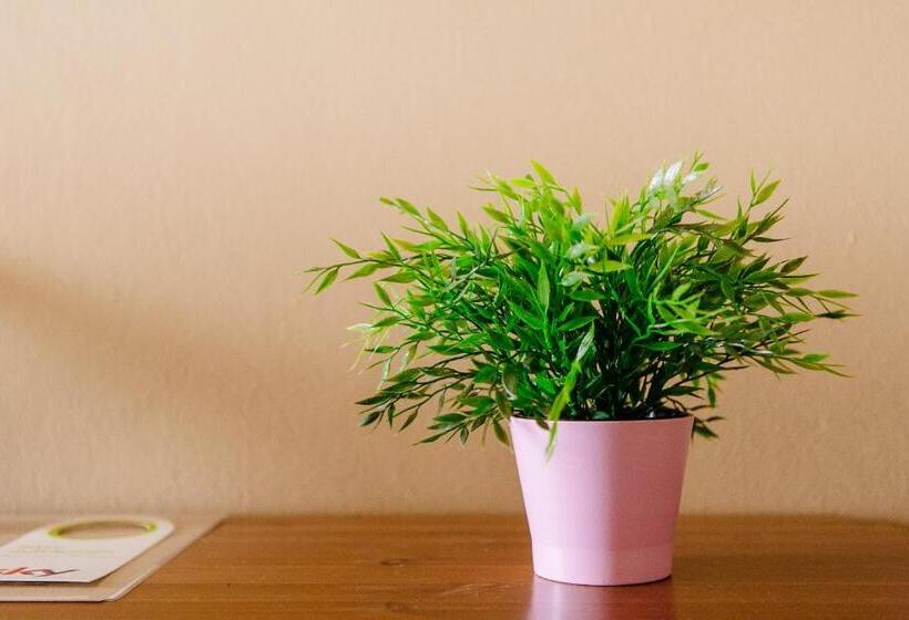 اتاق استاندارد یک نفره, Landhotel Airport Inn