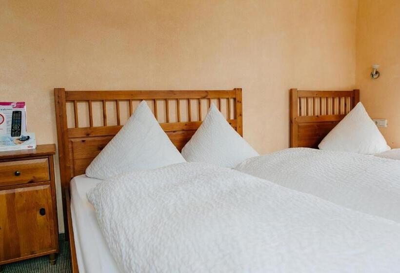 اتاق استاندارد سه نفره, Landhotel Airport Inn