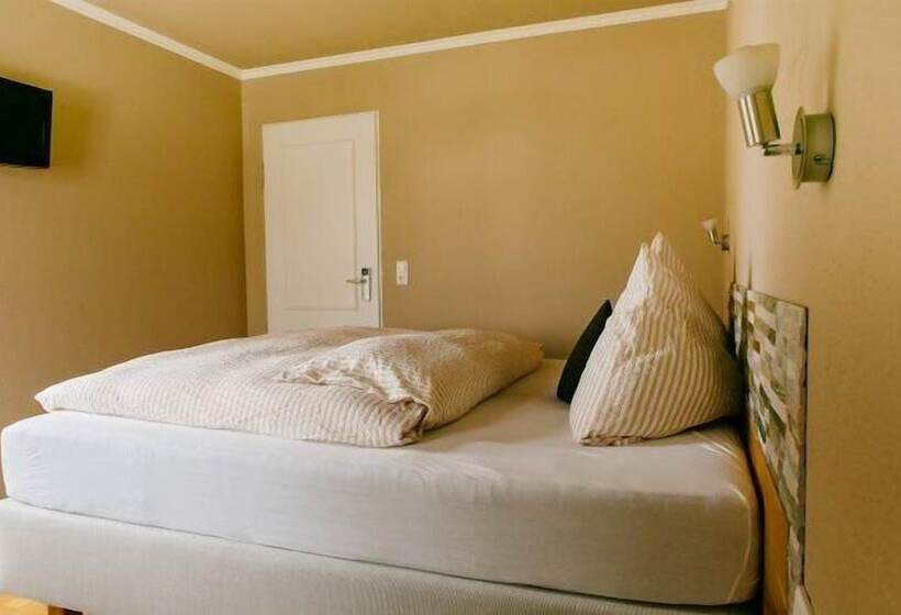 اتاق استاندارد, Landhotel Airport Inn