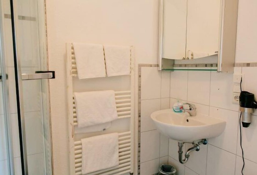 اتاق استاندارد یک نفره, Landhotel Airport Inn